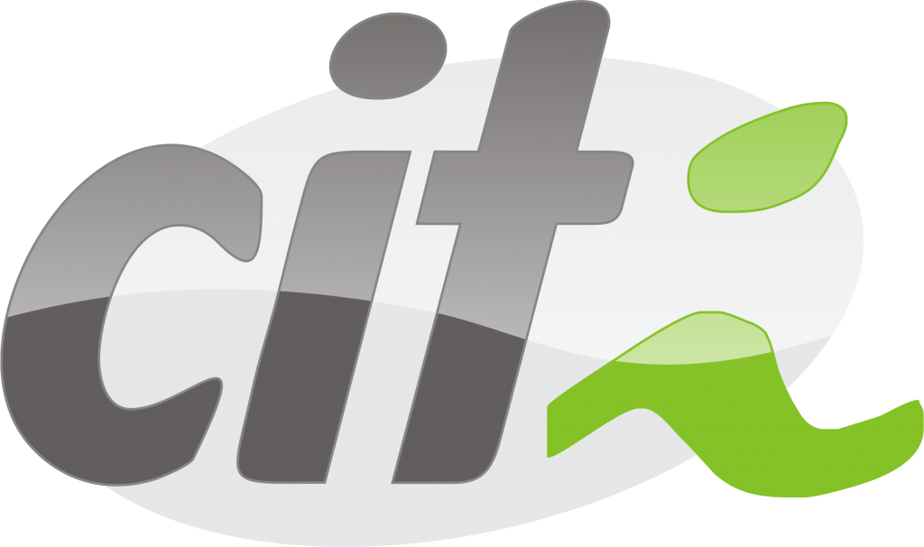 Logo Citi Consultoria