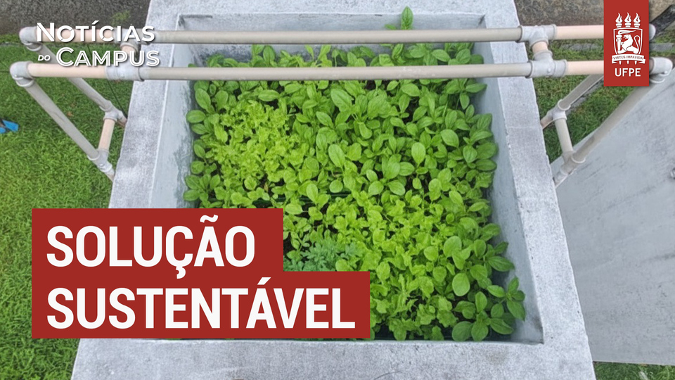 Startup Moverdes desenvolve tecnologia que protege do calor e de chuvas intensas